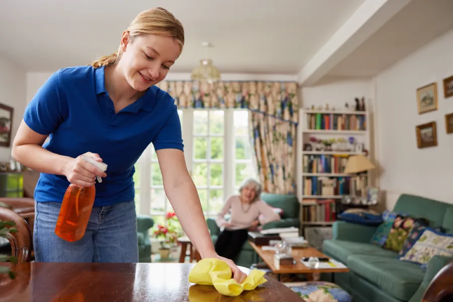 House-Cleaning